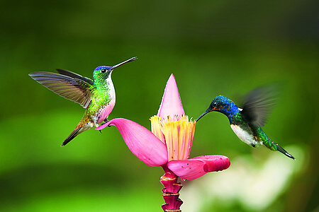 Voyage en Equateur