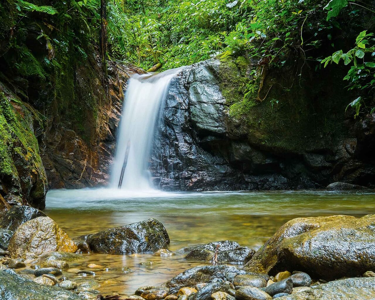 Voyages en Equateur, Mindo
