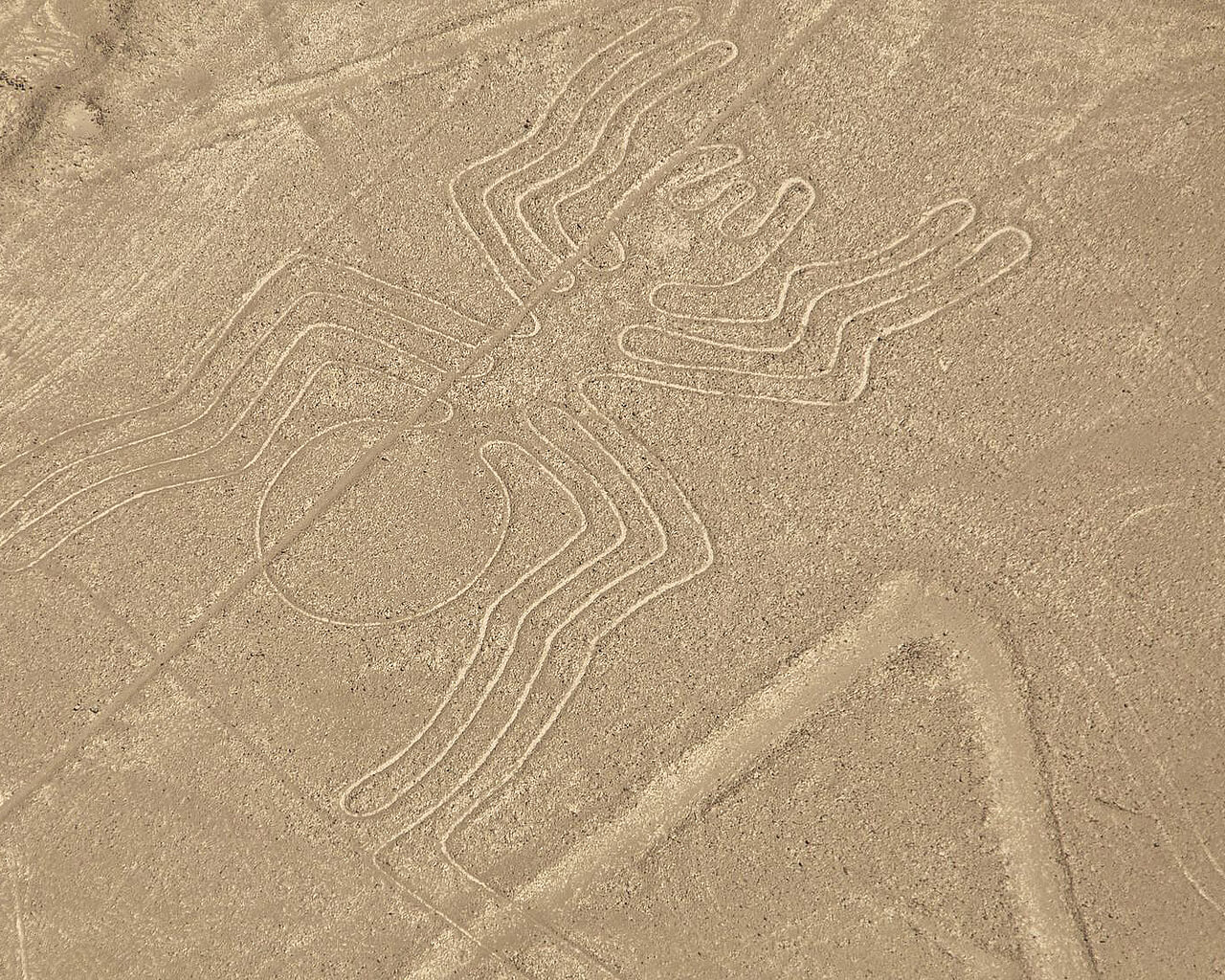 Circuits au Pérou, Nazca