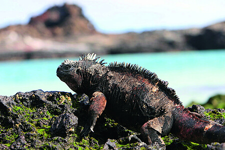 voyages en Equateur