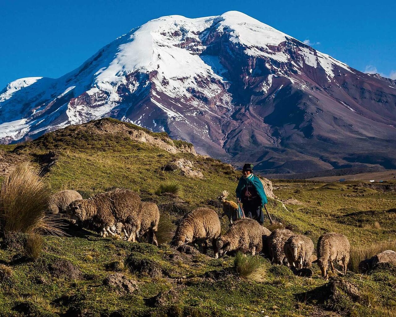 Voyages en Equateur, Chimborazo
