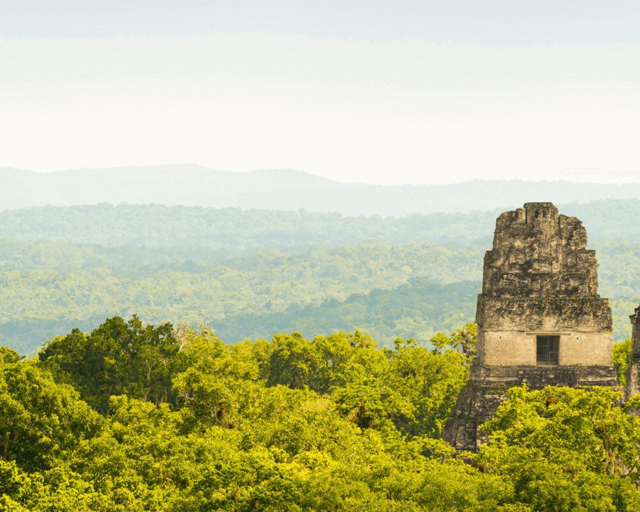 Voyage au Guatemala, tikal