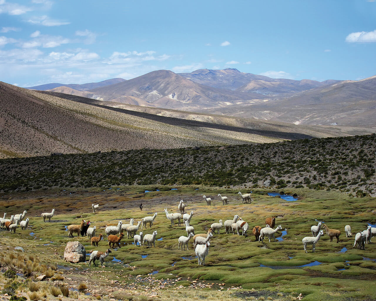 Voyages au Pérou, Arequipa