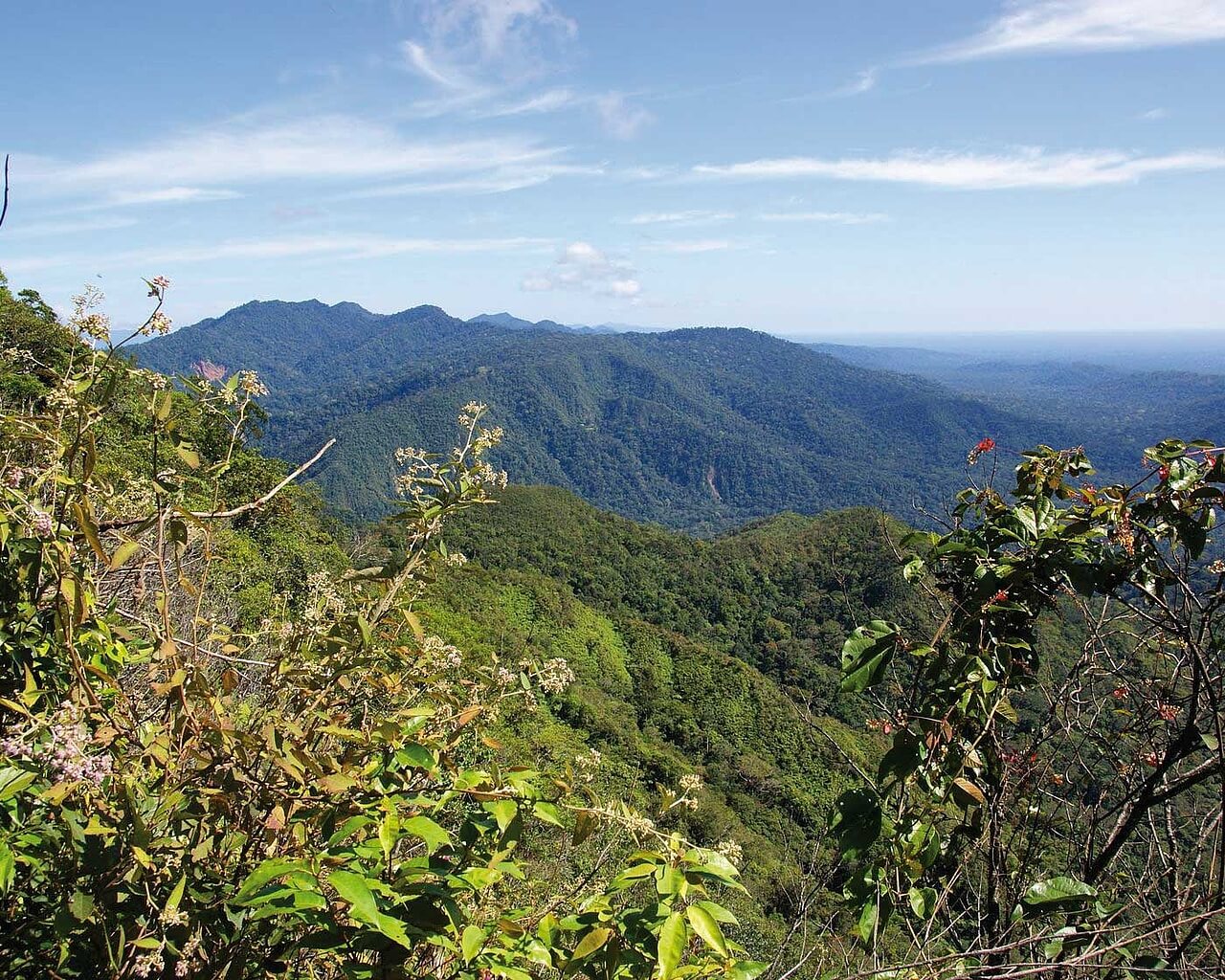 Voyages en Bolivie, paysage