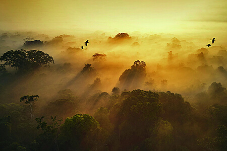 Voyage en Equateur