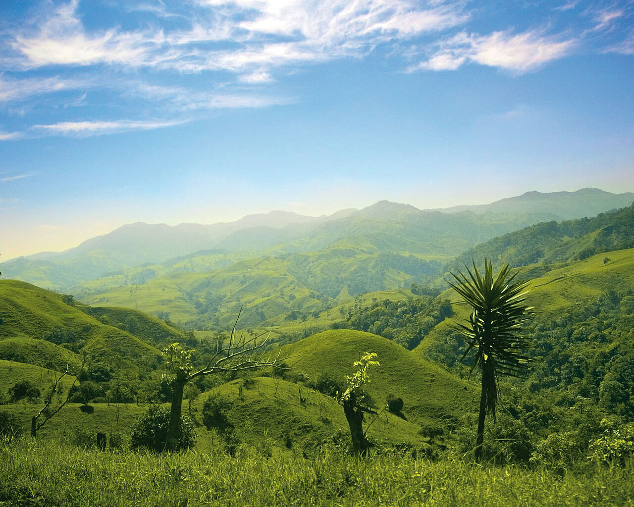 Voyages au Costa Rica, Monteverde