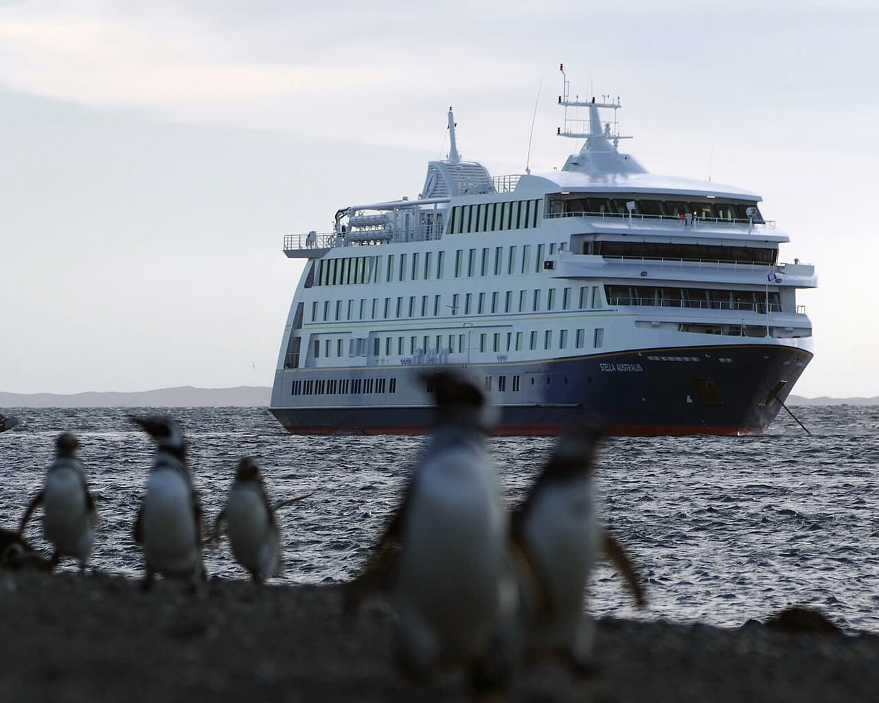Argentine, croisières, Amérique du Sud