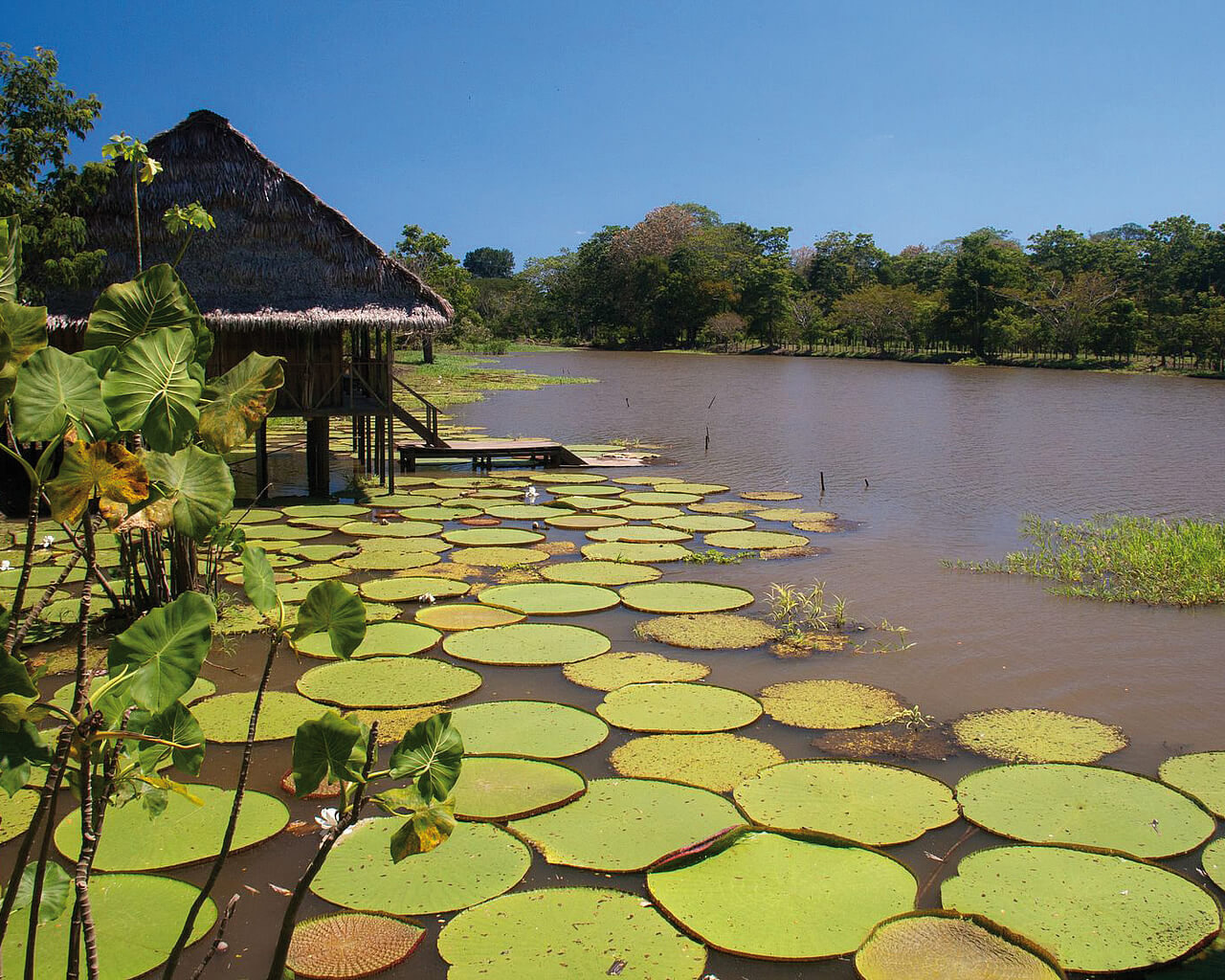 Voyages en Colombie, amazonie